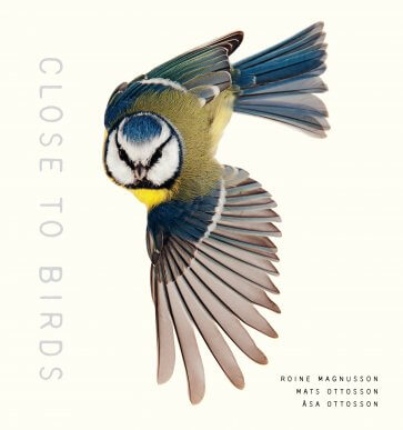 Cover of Close to Birds